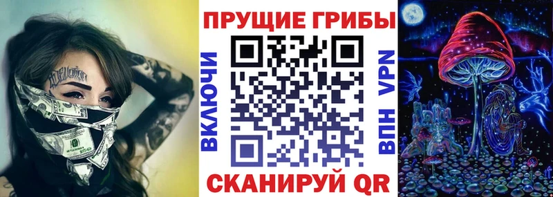 Псилоцибиновые грибы Psilocybe  Лакинск 